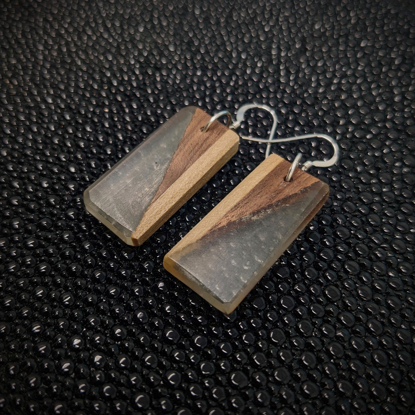 Clear Walnut Rectangle Dangle Earrings