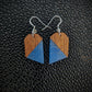 Blue Points Dangle Earrings