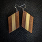 Wide Stripe Dangle Earrings